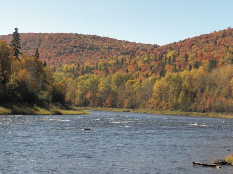 The Allagash in Maine, designated as a wild river in 1970.