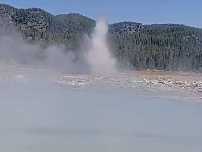 Newest geyser eruption in Yellowstone National Park.
