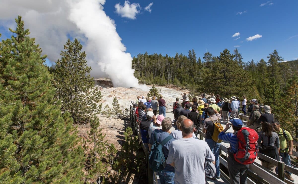 Visitors in Yellowstone National Park.