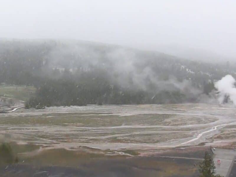 Snow in Yellowstone National Park.