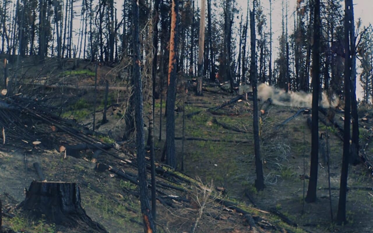 Crews work to remove burnt trees from Idaho's forests.