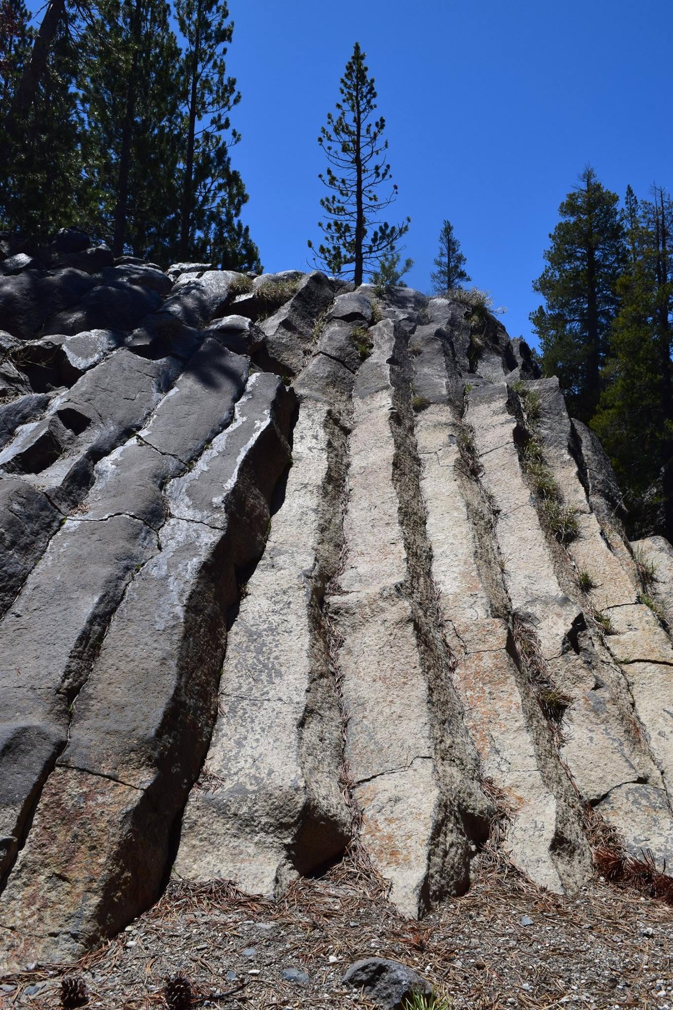 This Volcanic Marvel Was Nearly Blasted Into Oblivion: The Fascinating History of Devils Postpile