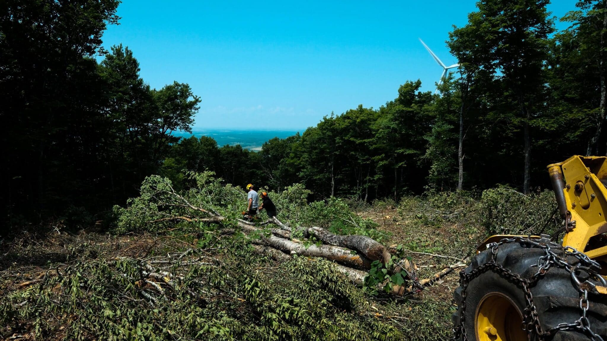 Maine Ski Area Adding New Trail For 2026-27 Season