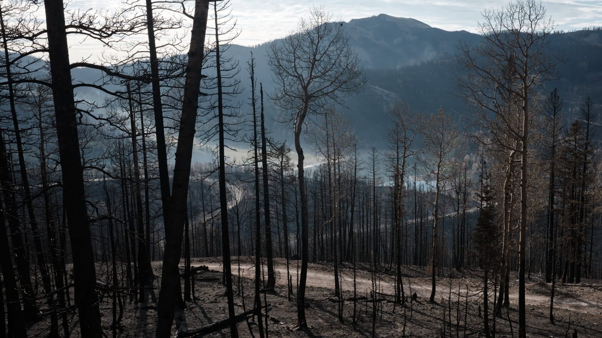 Central Utah Ski Resort Launches Non-Profit To Help Those Impacted By Wildfire