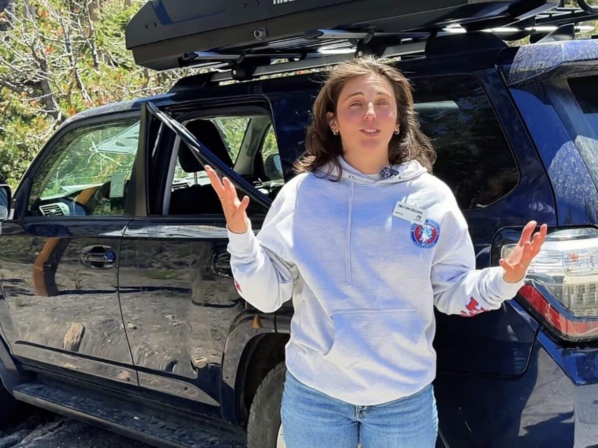 Mammoth Mountain Bear PSA