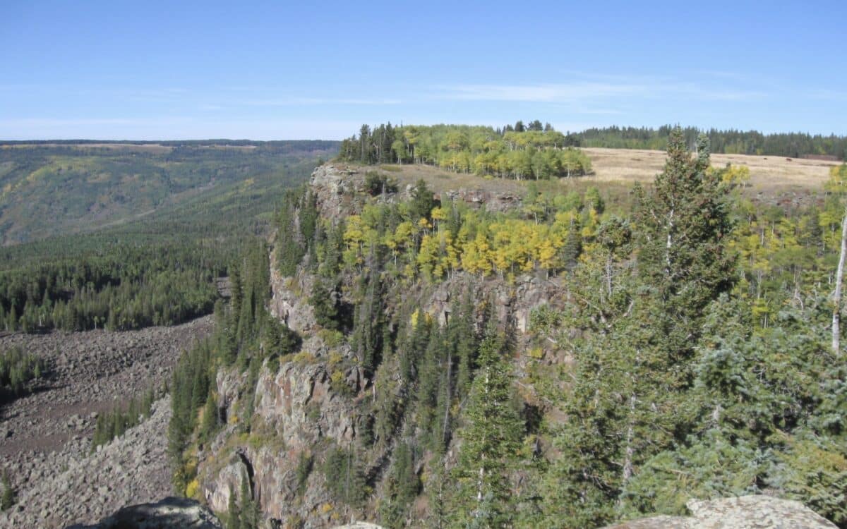 Grand Mesa in Colorado, where bear scavenged human remains were found earlier this week.