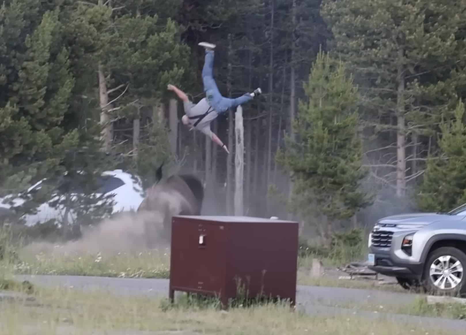 Elderly Man Goes Airborne In Bison Attack @ Yellowstone National Park