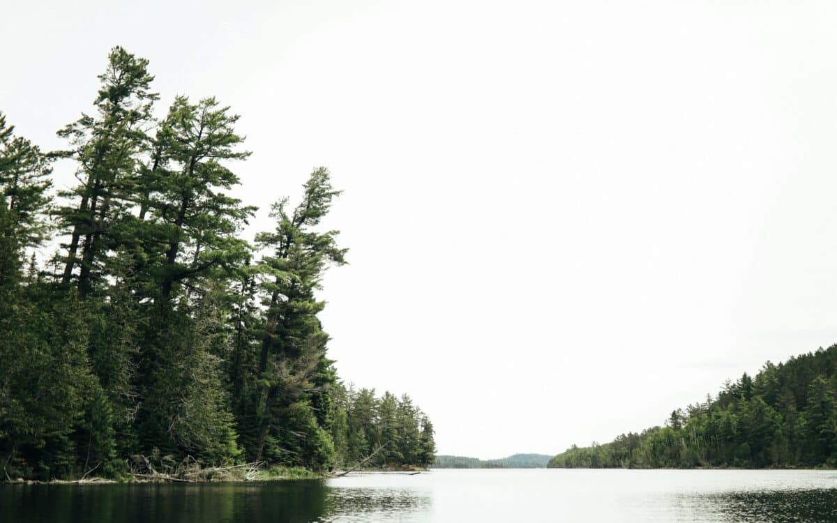 Boundary Waters Wilderness Closed to Public as Wildfires Surge Across Northern Minnesota