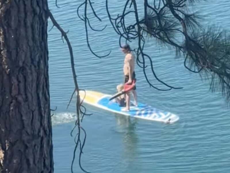 Paddleboard Leaf Blower Trick