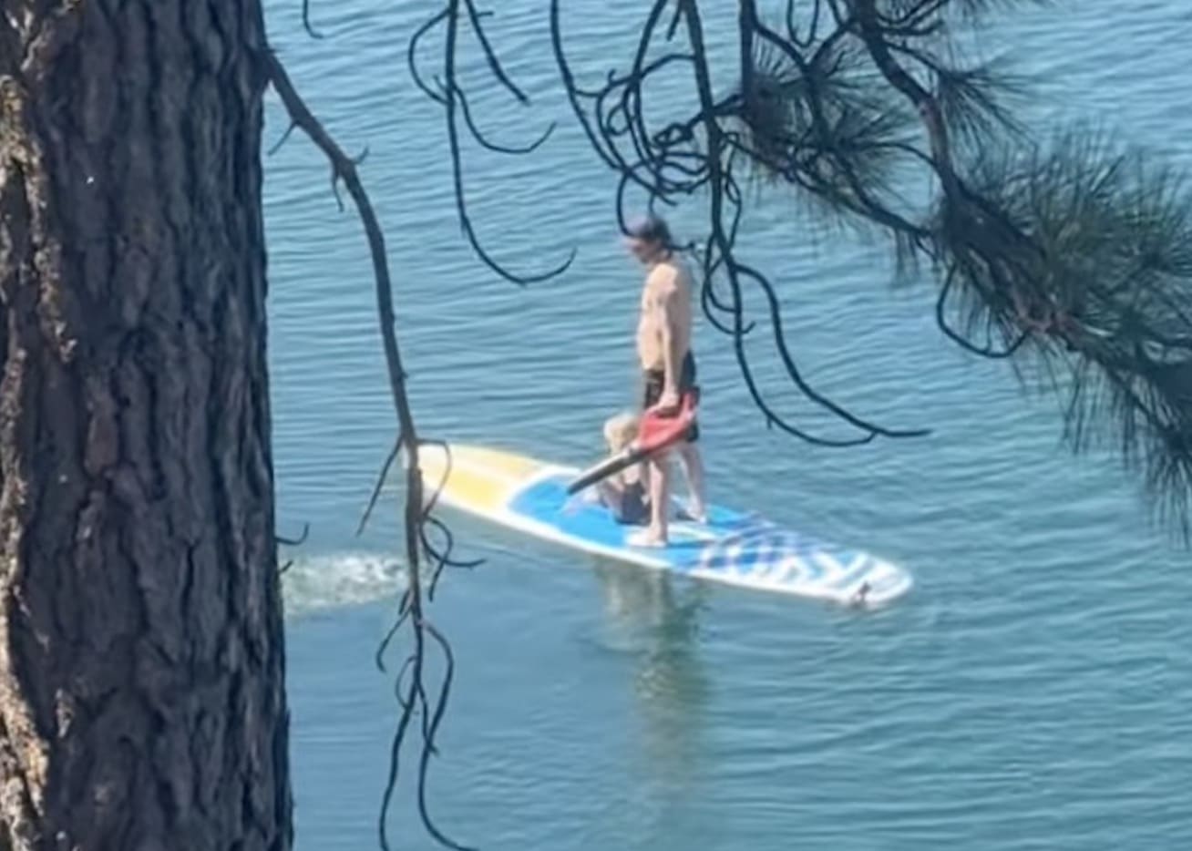 The Paddleboard Leaf Blower Trick, Genius Level Dad Move