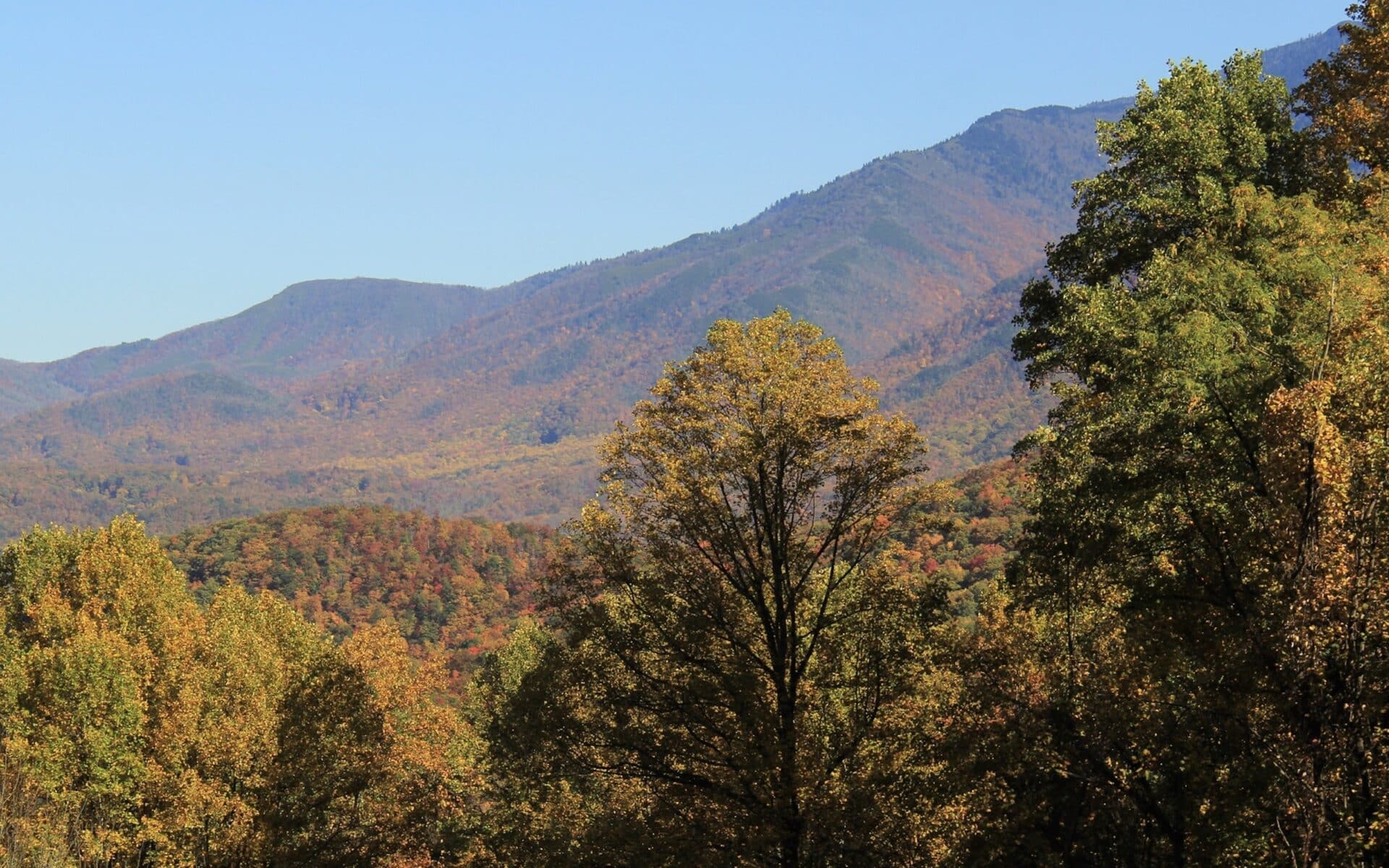 Fall in Great Smoky Mountains National Park.