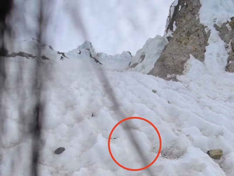 Climber struck by ice block on Mount Hood.