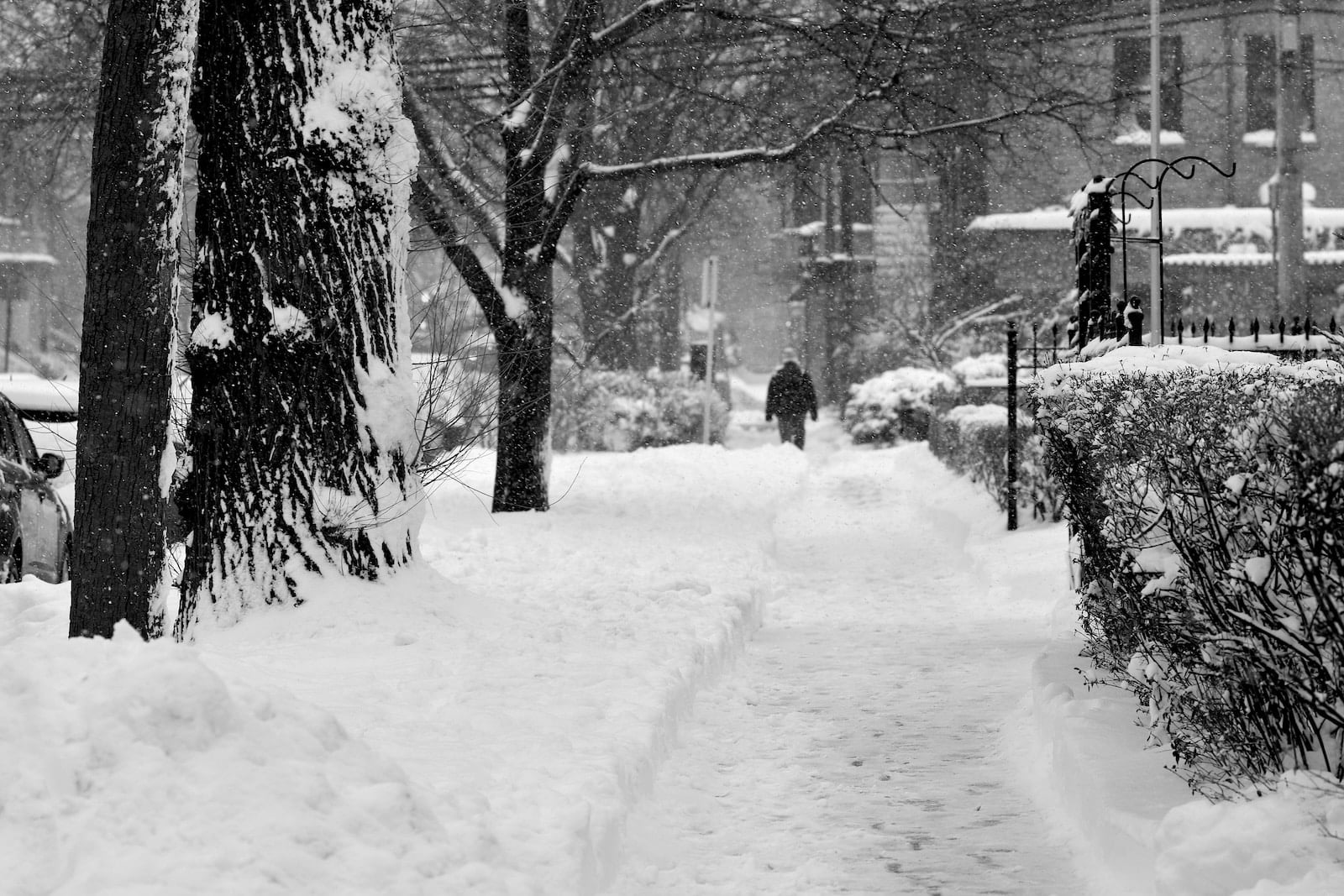 NOAA Releases New Winter Weather Prediction For 2027