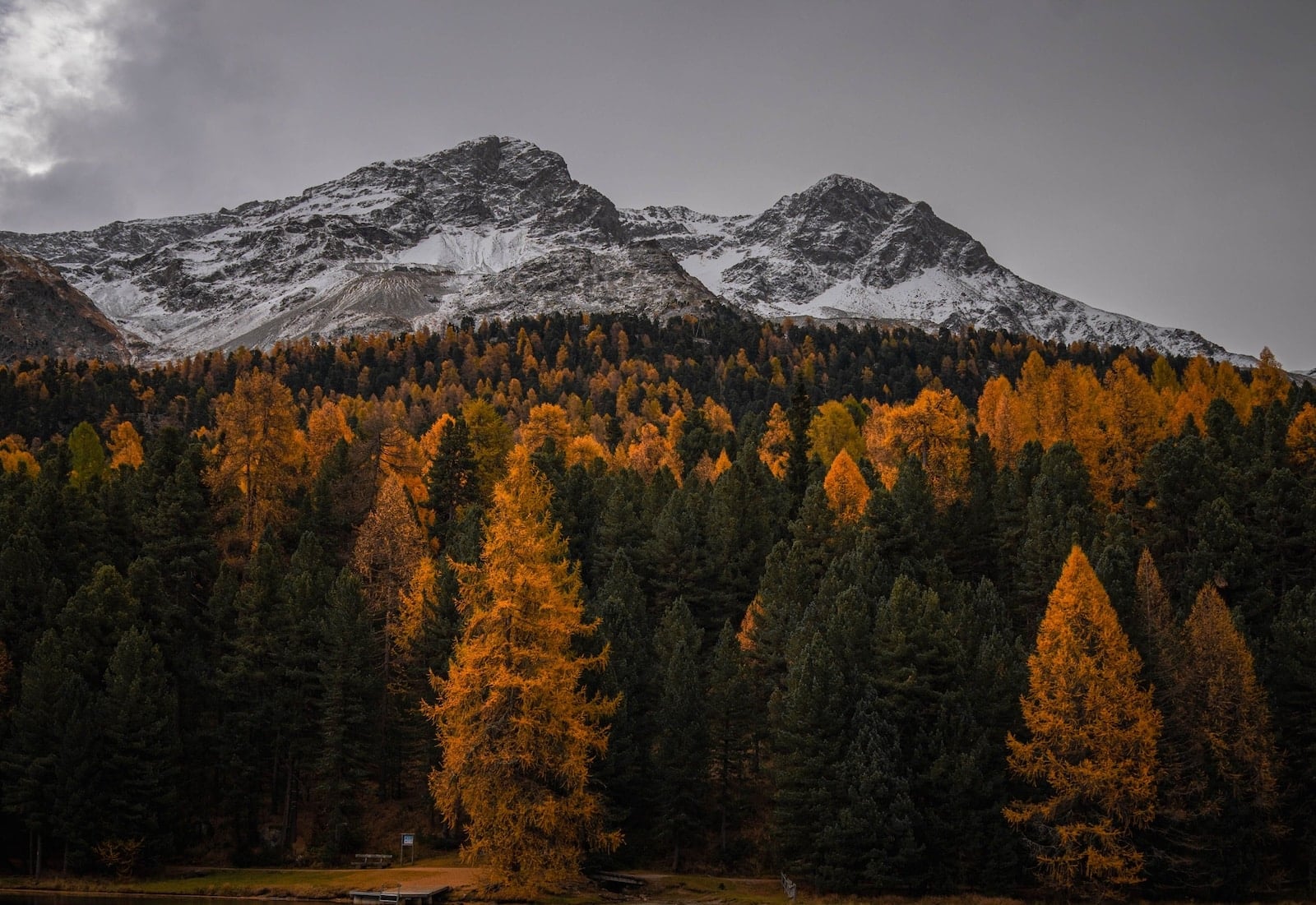 10 Signs Of A Harsh And Cold Fall Ahead | According To The Farmers’ Almanac