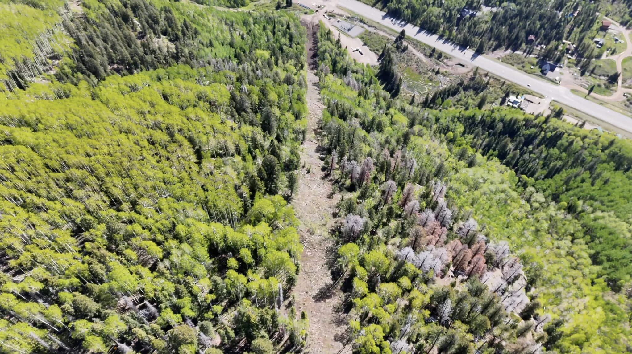 Colorado Ski Resort Shows Off Work On Terrain Expansion