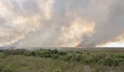 Wildfire in Everglades National Park.