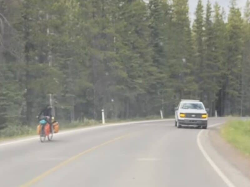 Cyclists encounter bear @ Banff National Park
