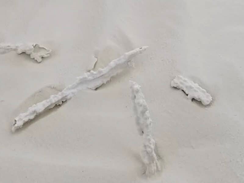 Fossilized Lightning @ White Sands National Monument