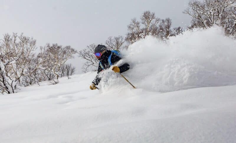 Powder skiing.