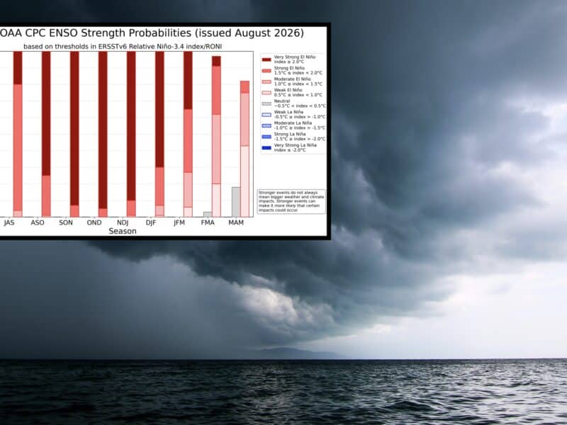 El Niño strength probabilities.