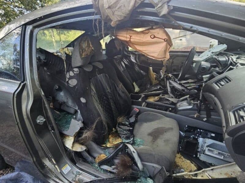 Black bear breaks into and destroys car in Colorado before perishing inside the vehicle.