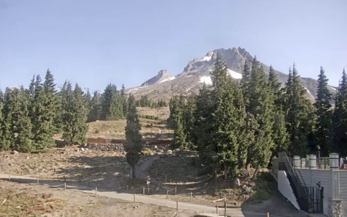 Timberline Lodge live camera.