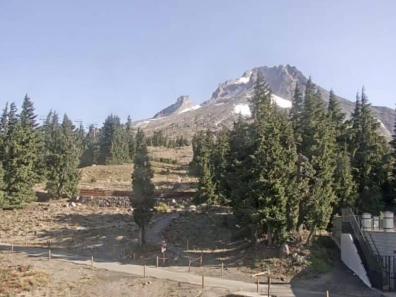 Timberline Lodge live camera.
