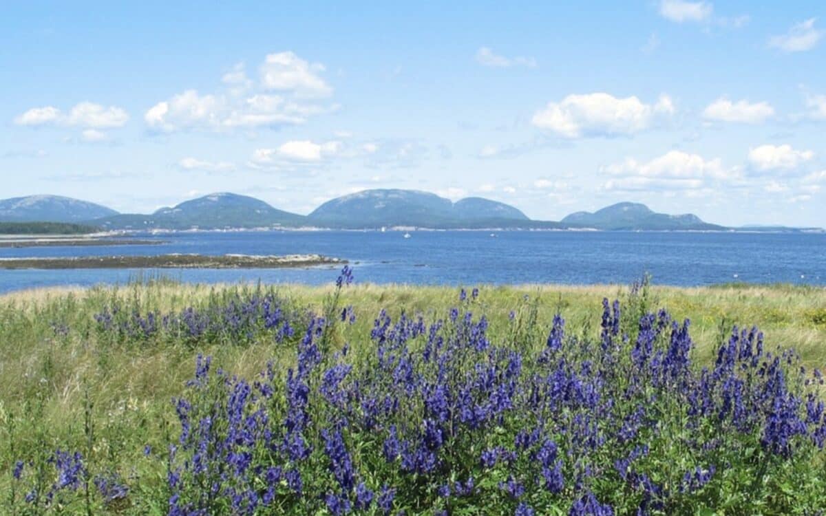 View of Acadia National Park.