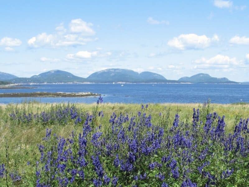 View of Acadia National Park.