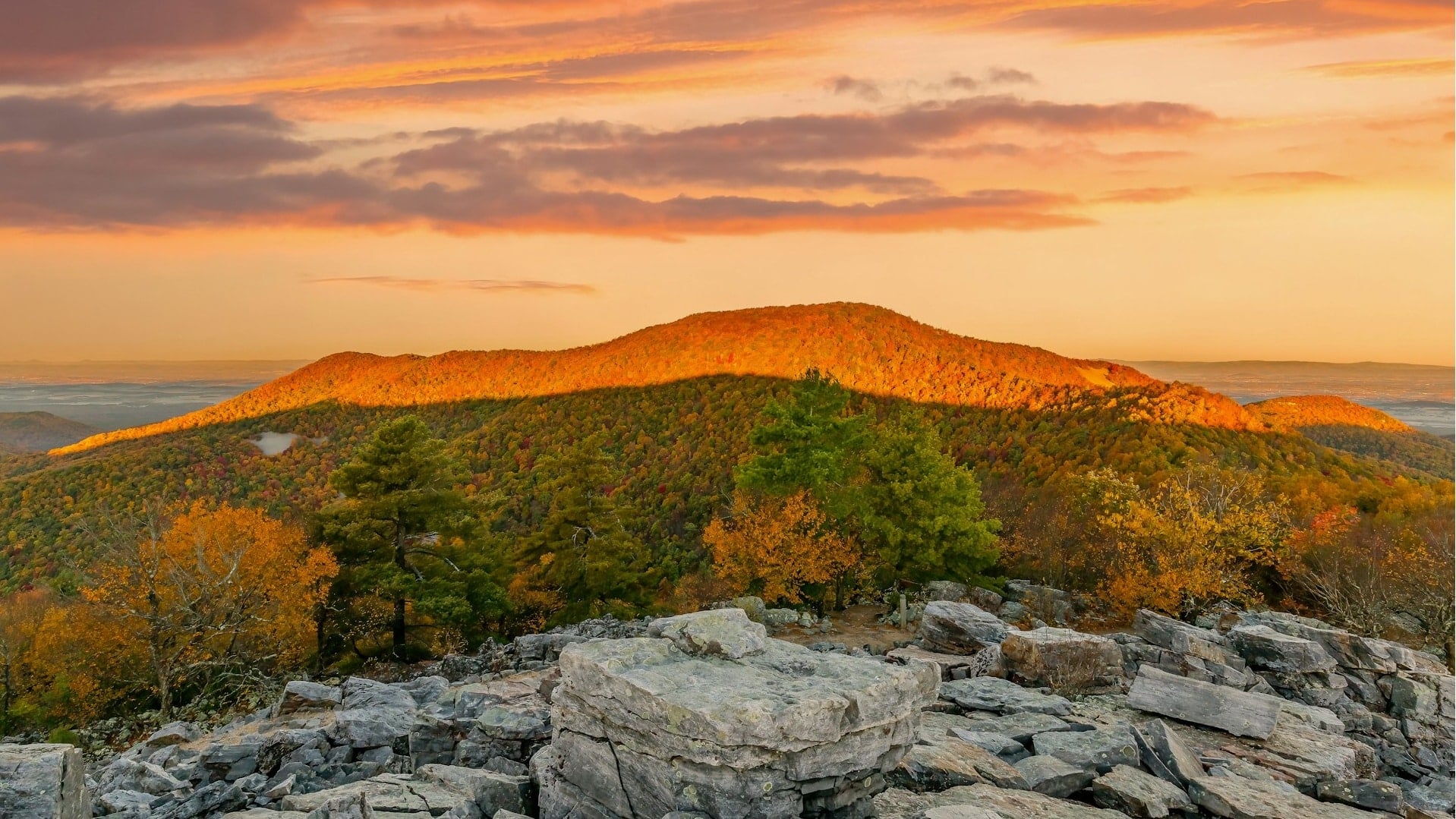 Travel Expert Picks The Most Overrated & Underrated National Parks