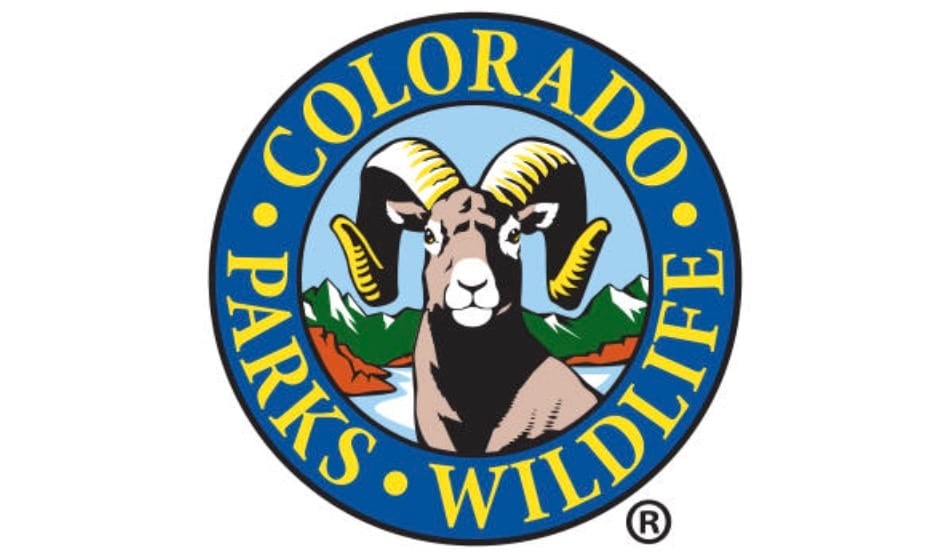 Severe Trash Blockage Forces Euthanasia Of 18-Year-Old Black Bear in Colorado