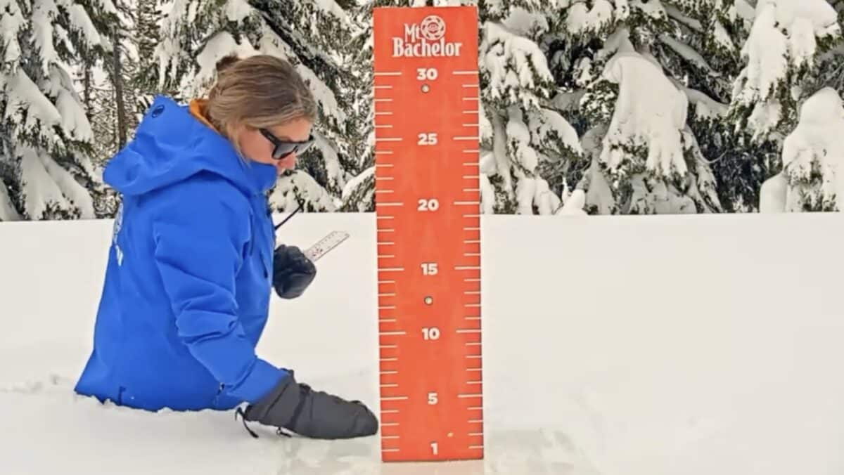 Snow Stake @ Mt. Bachelor