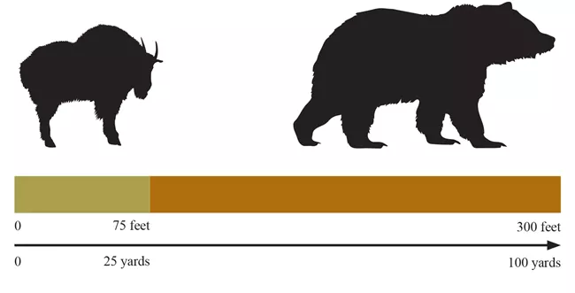 Glacier National Park bear safety.