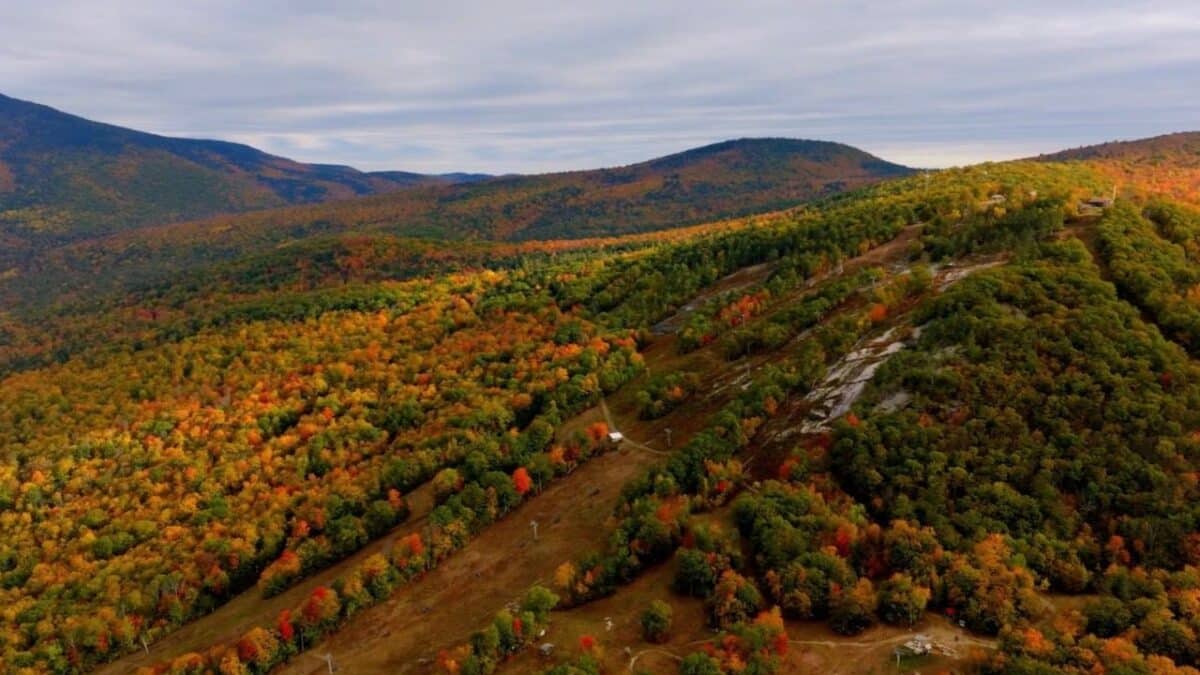Autumn forested hills and valleys in fall colors.