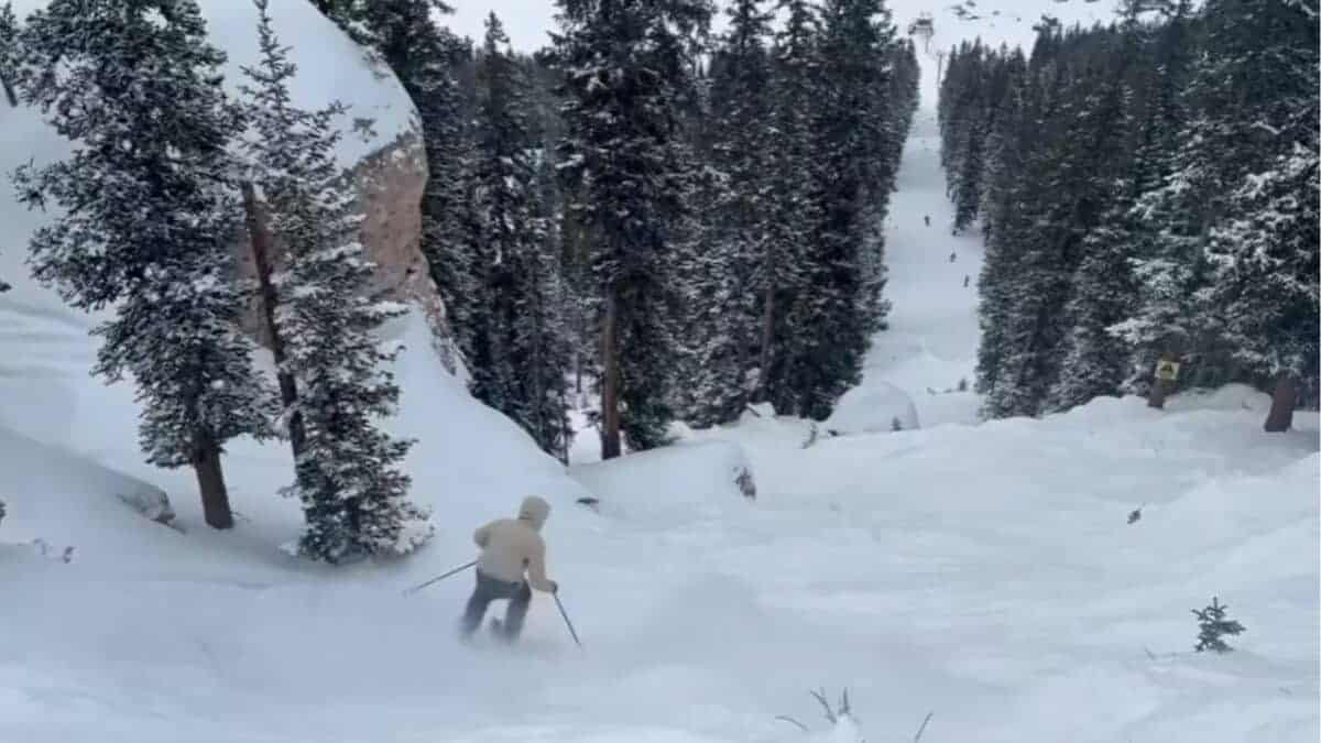 Skier navigating through snow-covered trees at a mountain ski resort.