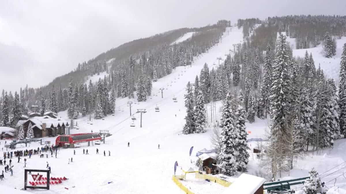 Ski resort with snow-covered slopes and pine trees in Colorado.