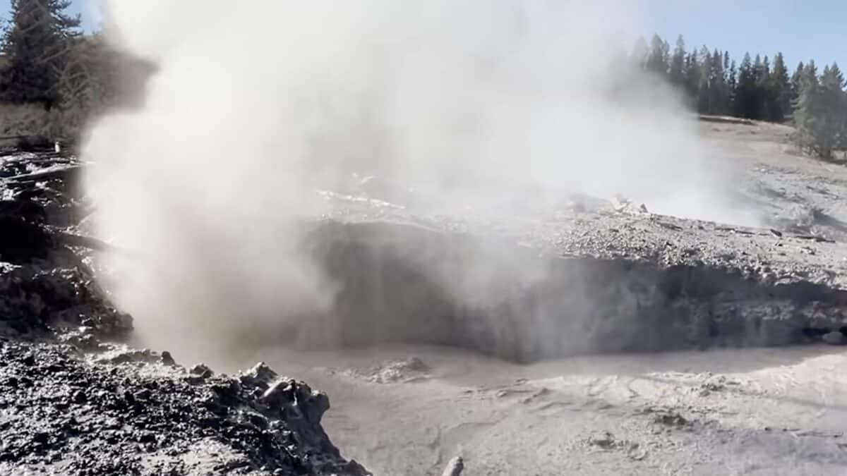 What stinks in Yellowstone?