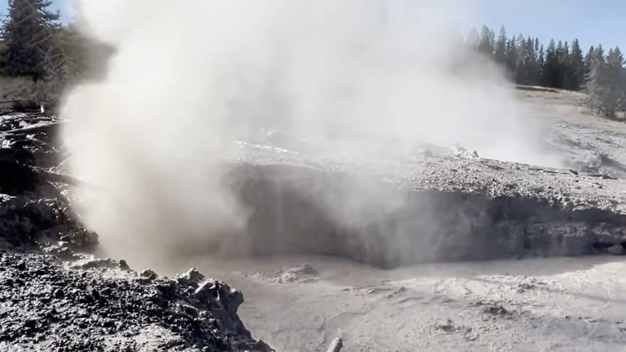 What stinks in Yellowstone?