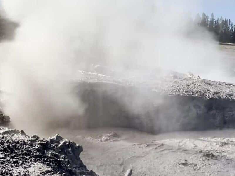 What stinks in Yellowstone?