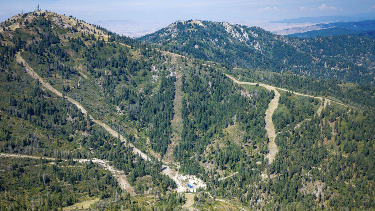 Scenic mountain landscape with winding trails and dense forest.