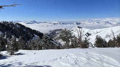 Snow-covered mountains and trees under a bright blue sky.