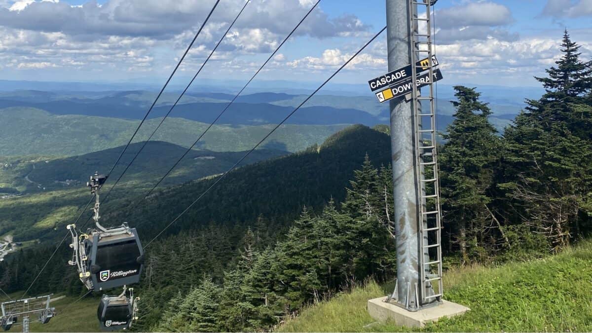 Cable car ascending over lush green forested mountain landscape.