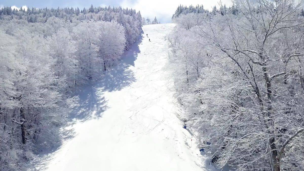 Snow-covered ski slope surrounded by frosted trees in winter.
