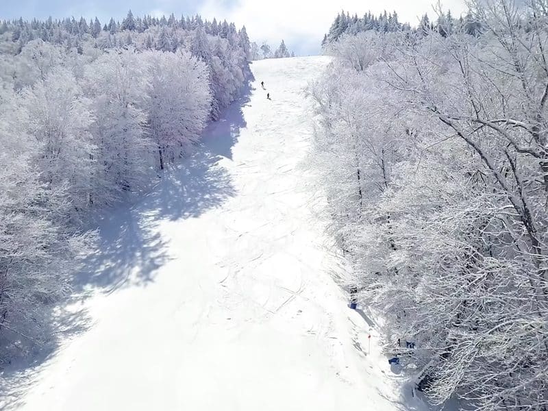 Snow-covered ski slope surrounded by frosted trees in winter.