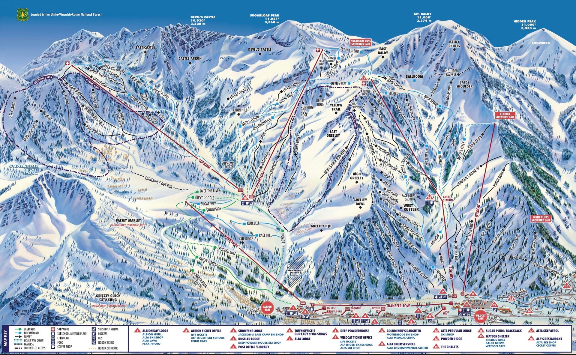 Detailed ski trail map of mountain resort with various slopes and lifts.