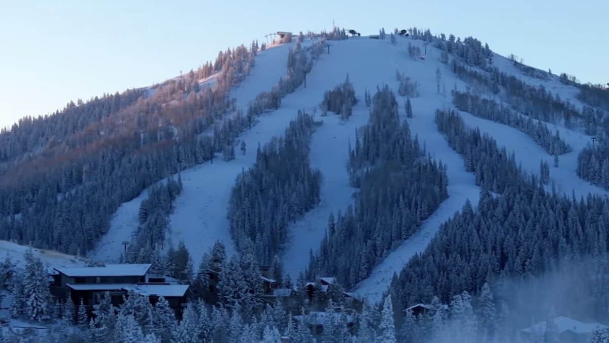 Snow-covered mountain with ski slopes and trees in winter.