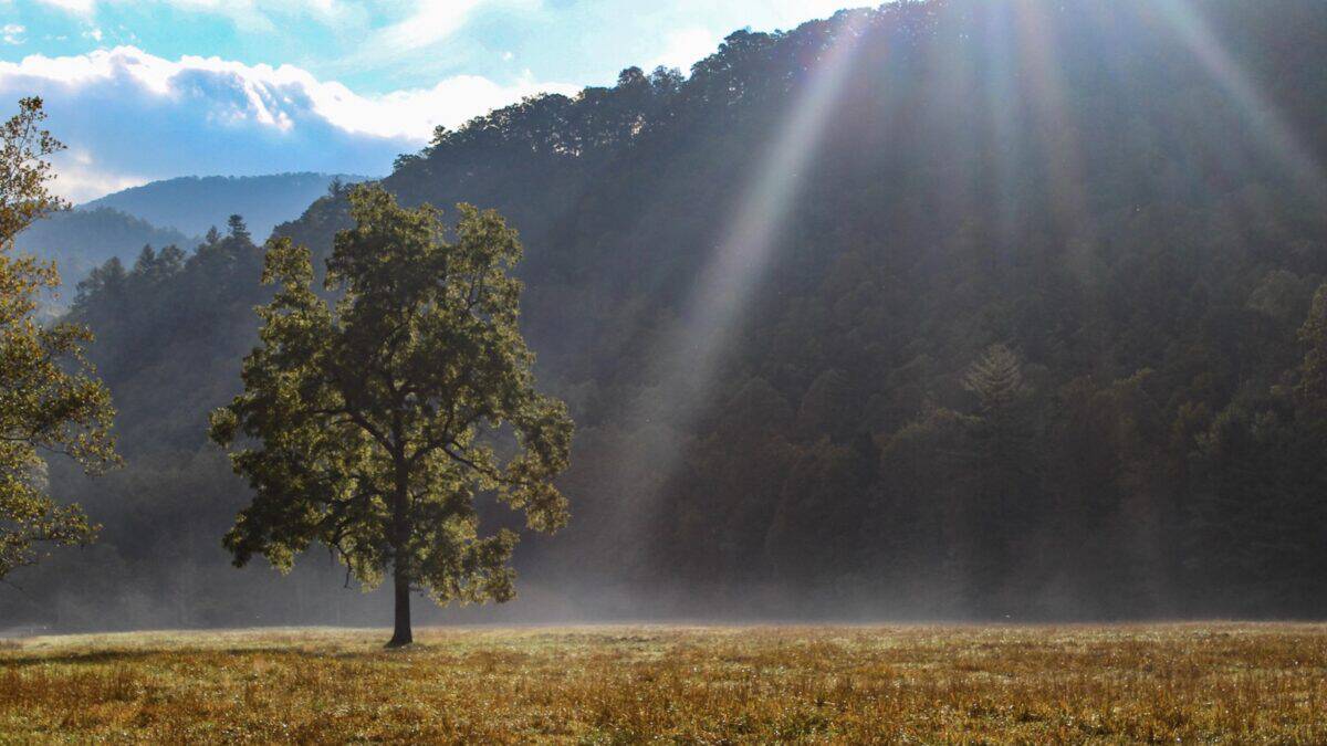 Great Smoky Mountains National Park.