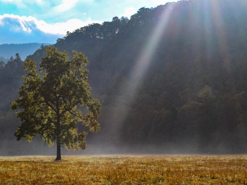 Great Smoky Mountains National Park.