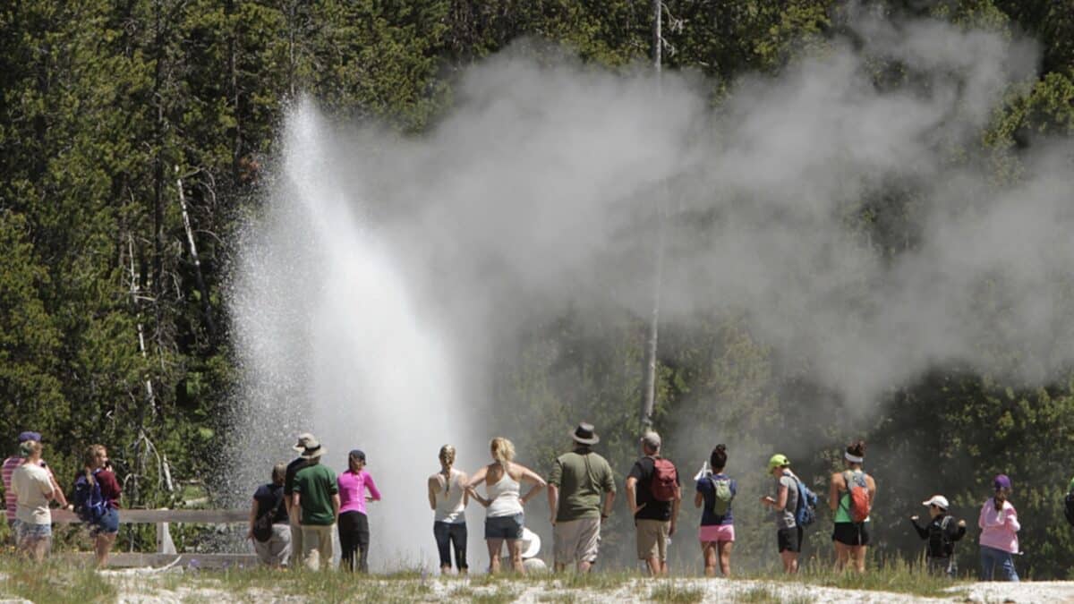 Tourists observing a geyser erupting with steam and water in a forest setting.