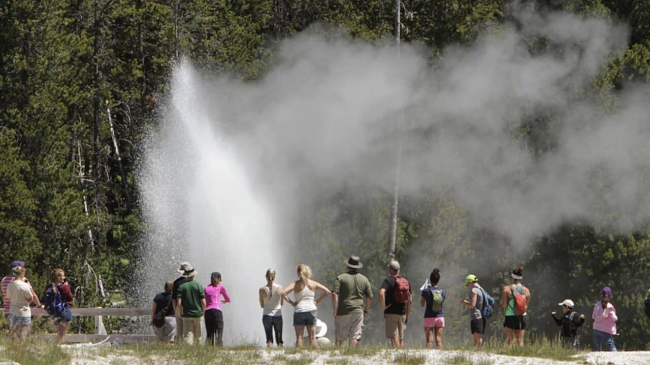 Tourists observing a geyser erupting with steam and water in a forest setting.